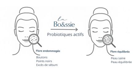 flore cutanée peau grasse